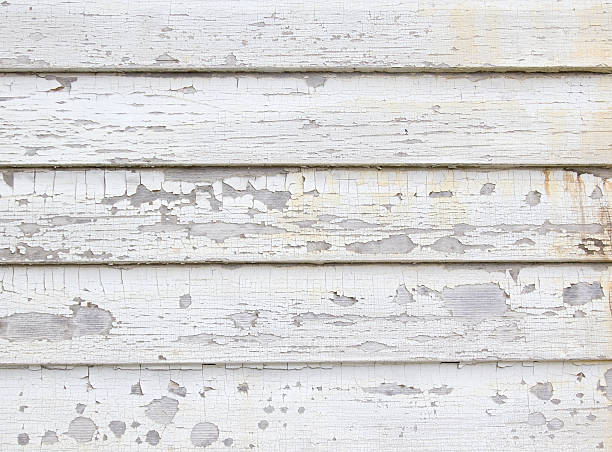 Professional Junk Removal in Verona, WI
